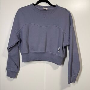 Adidas Dove Gray Cropped Sweatshirt